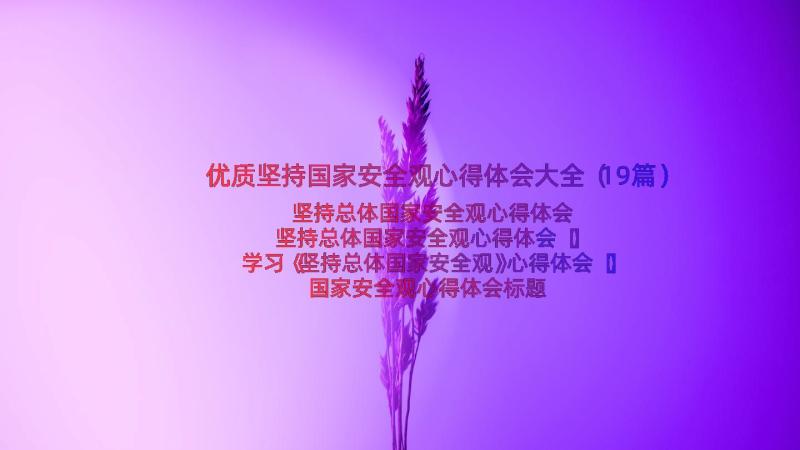 优质坚持国家安全观心得体会大全（19篇）