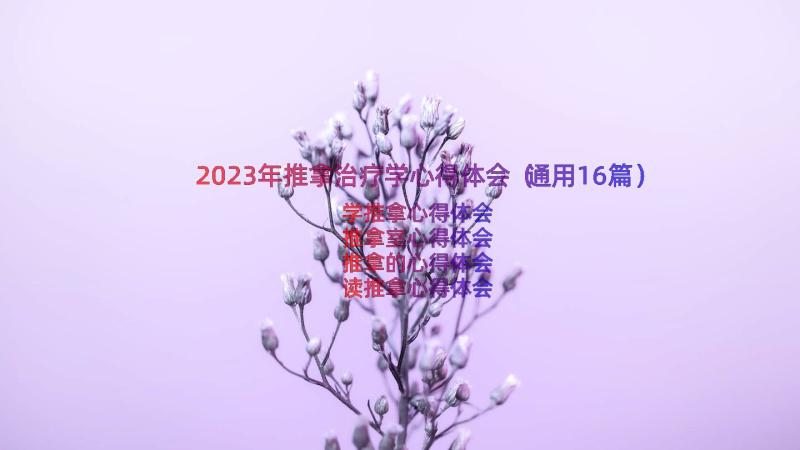 2023年推拿治疗学心得体会（通用16篇）