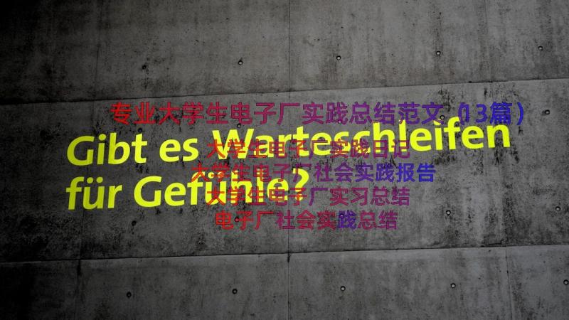 专业大学生电子厂实践总结范文（13篇）