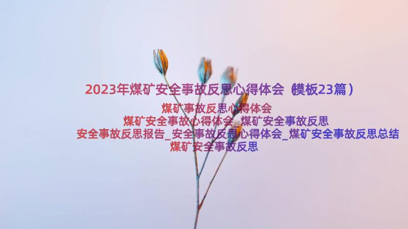 2023年煤矿安全事故反思心得体会（模板23篇）