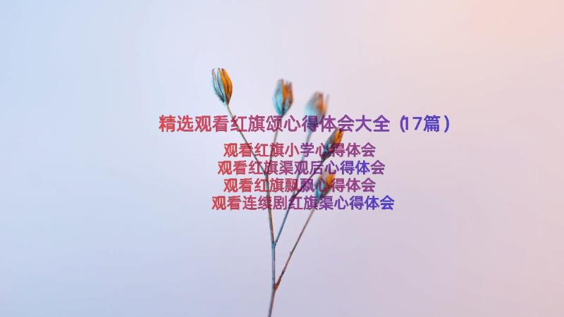 精选观看红旗颂心得体会大全（17篇）