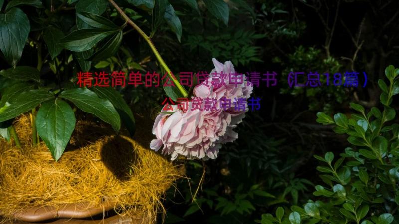 精选简单的公司贷款申请书（汇总18篇）