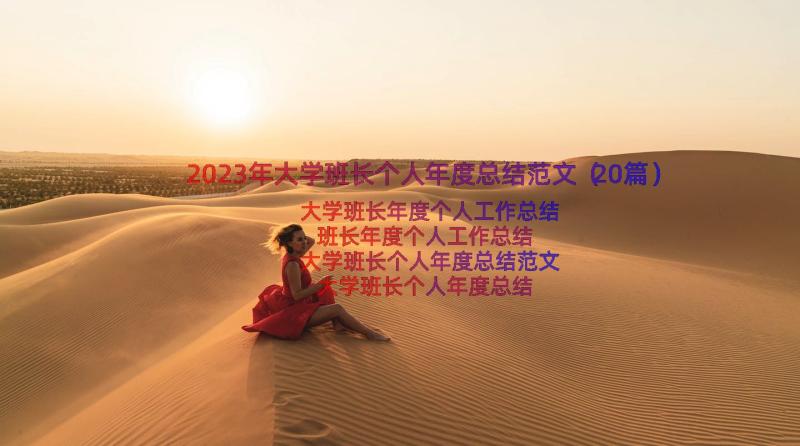 2023年大学班长个人年度总结范文（20篇）