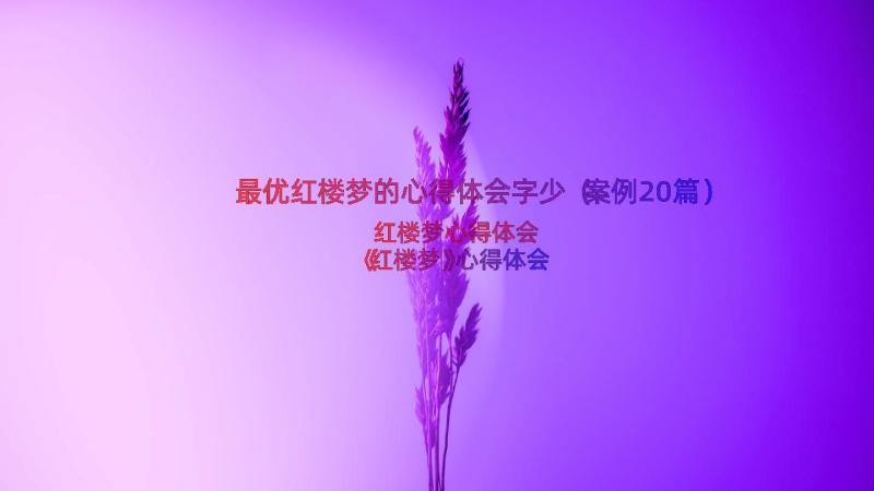 最优红楼梦的心得体会字少（案例20篇）