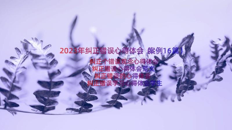 2023年纠正错误心得体会（案例16篇）