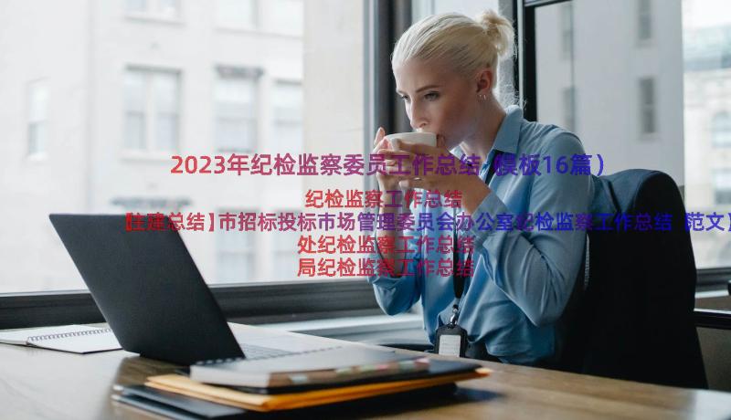 2023年纪检监察委员工作总结（模板16篇）