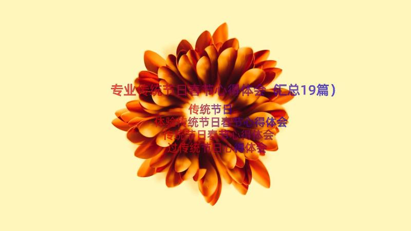 专业传统节日春节心得体会（汇总19篇）