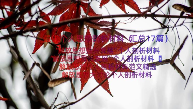 最优个人思想剖析材料（汇总17篇）