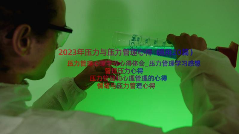 2023年压力与压力管理心得（通用20篇）