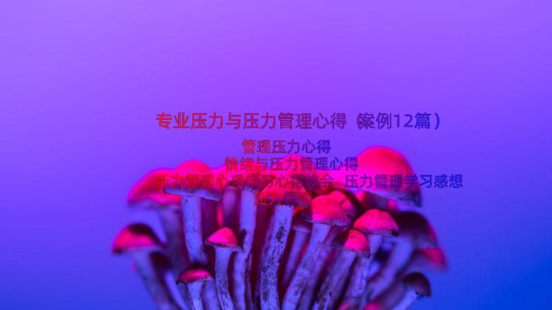 专业压力与压力管理心得（案例12篇）