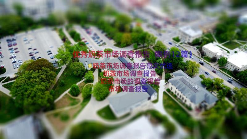 优秀奶茶市场调查报告（案例12篇）