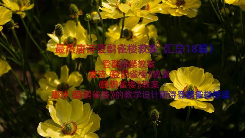 最热唐诗登鹳雀楼教案（汇总18篇）