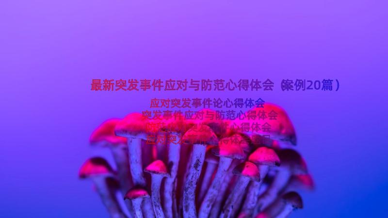 最新突发事件应对与防范心得体会（案例20篇）