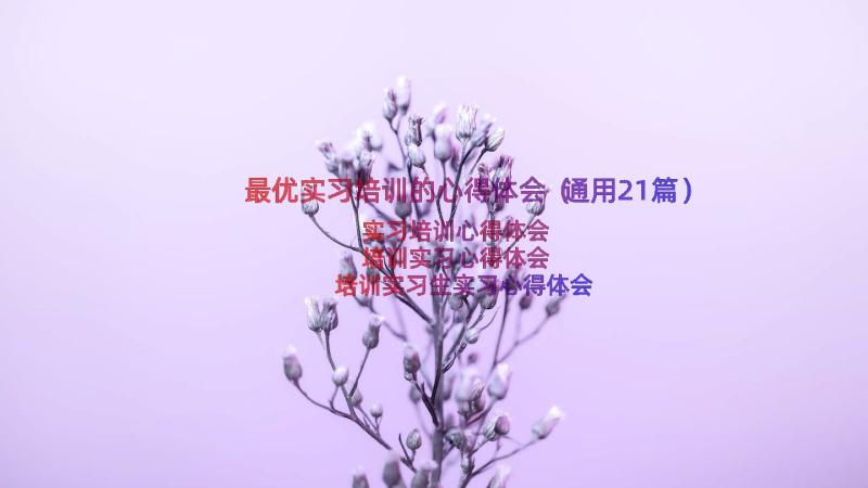 最优实习培训的心得体会（通用21篇）