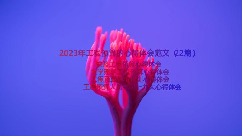 2023年工程预算的心得体会范文（22篇）