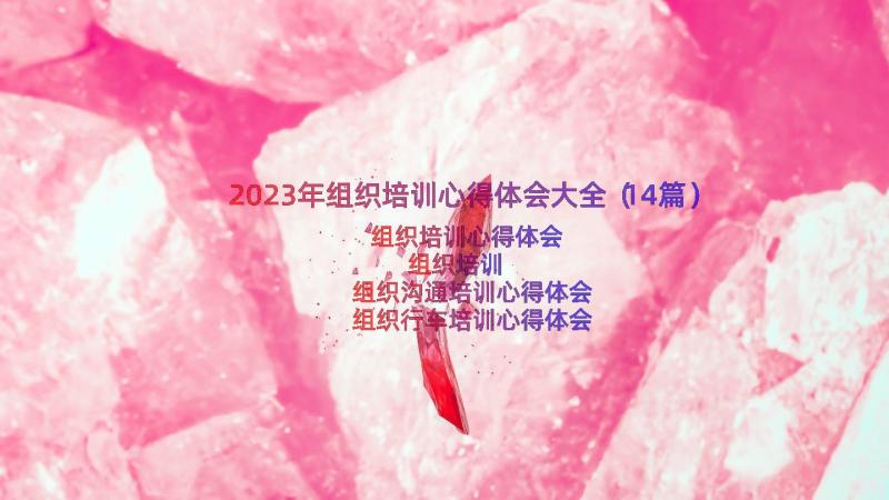 2023年组织培训心得体会大全（14篇）