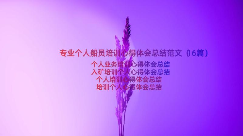 专业个人船员培训心得体会总结范文（16篇）