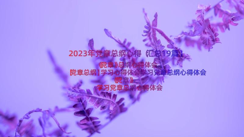 2023年党章总纲心得（汇总19篇）