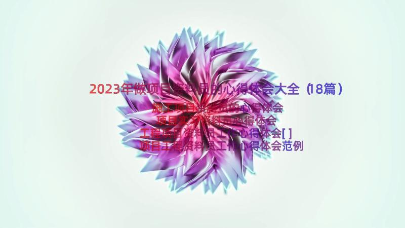 2023年做项目资料员的心得体会大全（18篇）