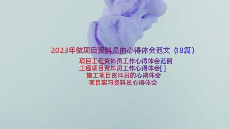 2023年做项目资料员的心得体会范文（18篇）