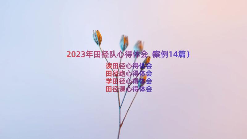 2023年田径队心得体会（案例14篇）