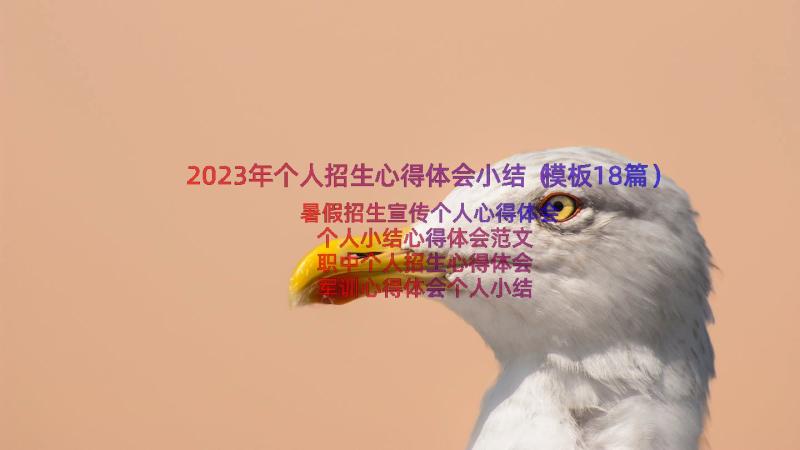 2023年个人招生心得体会小结（模板18篇）