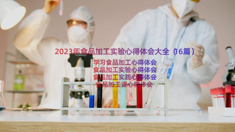 2023年食品加工实验心得体会大全（16篇）