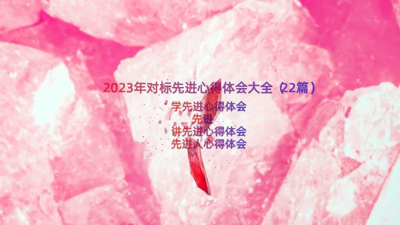 2023年对标先进心得体会大全（22篇）