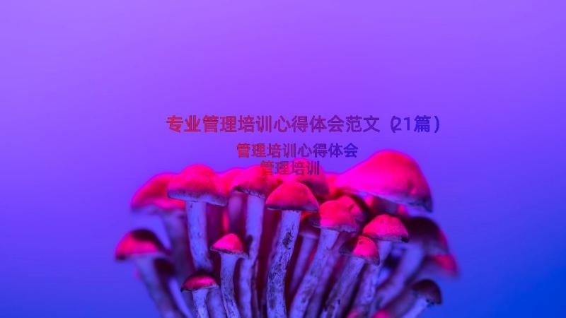 专业管理培训心得体会范文（21篇）