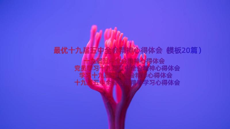 最优十九届五中全会精神心得体会（模板20篇）