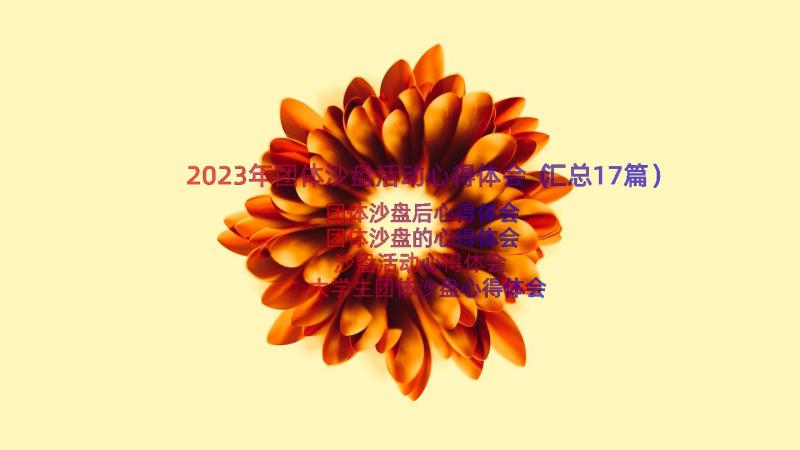 2023年团体沙盘活动心得体会（汇总17篇）