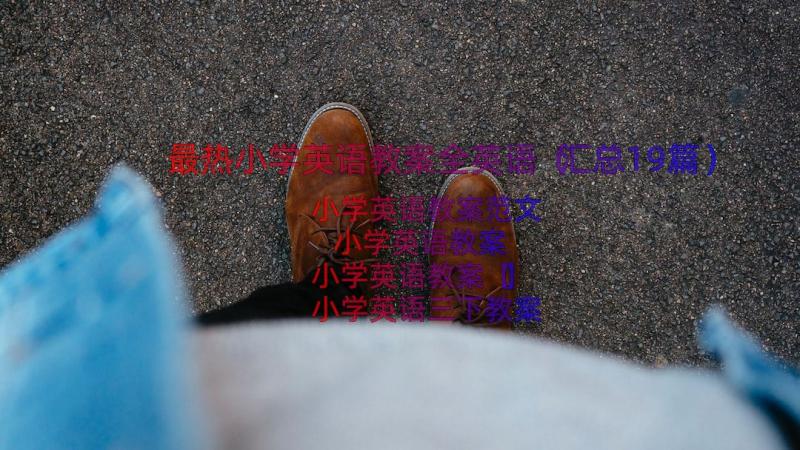 最热小学英语教案全英语（汇总19篇）