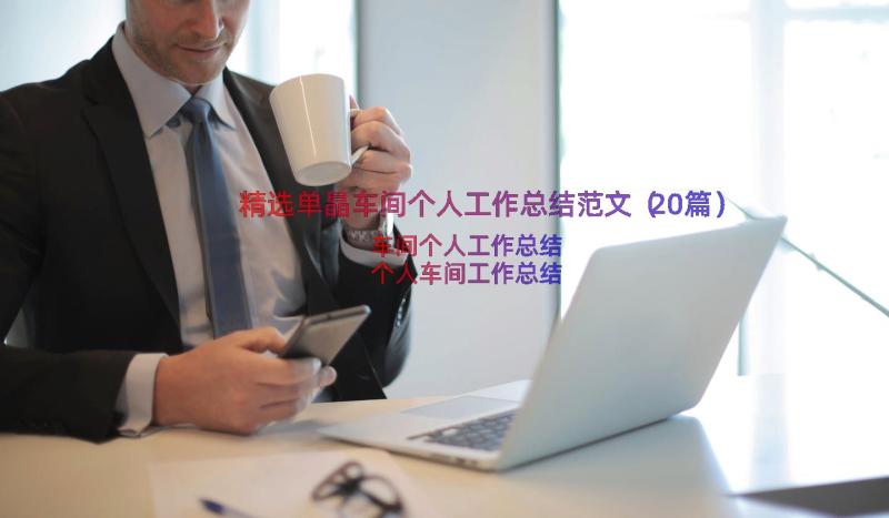 精选单晶车间个人工作总结范文（20篇）