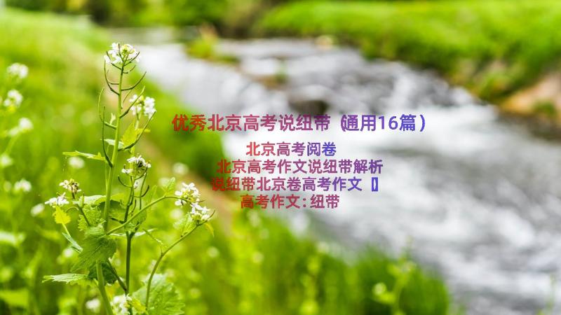 优秀北京高考说纽带（通用16篇）