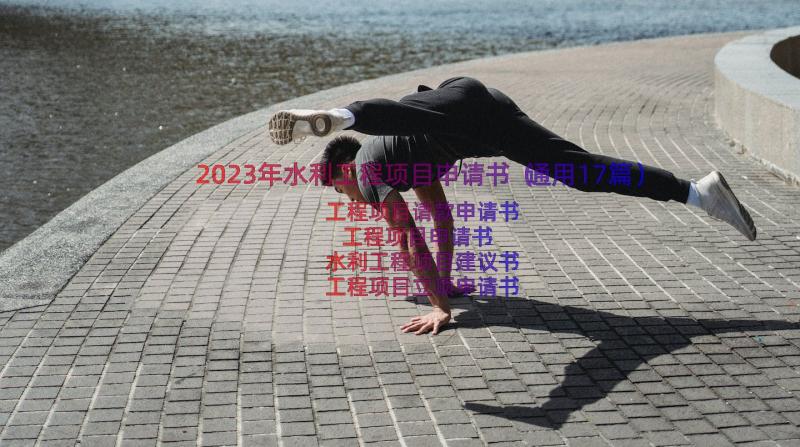 2023年水利工程项目申请书（通用17篇）