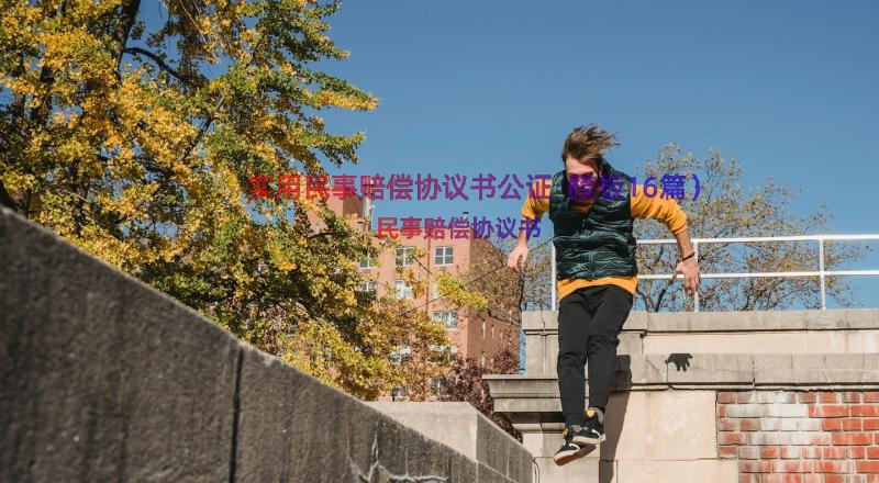 实用民事赔偿协议书公证（模板16篇）