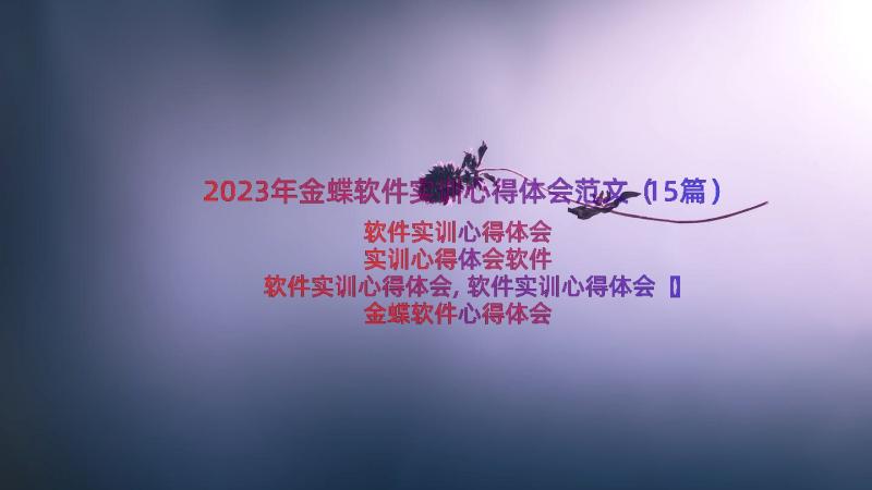 2023年金蝶软件实训心得体会范文（15篇）