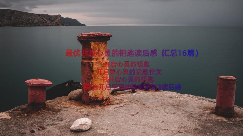 最优开启心灵的钥匙读后感（汇总16篇）