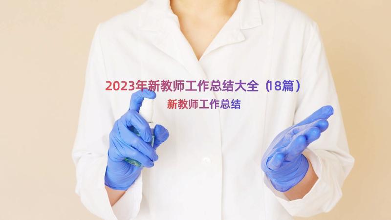 2023年新教师工作总结大全（18篇）