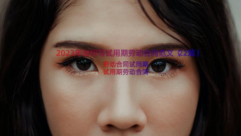 2023年如何写试用期劳动合同范文（22篇）