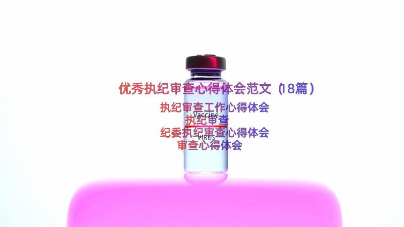 优秀执纪审查心得体会范文（18篇）