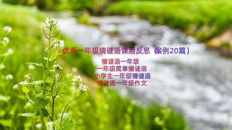 优秀一年级猜谜语课后反思（案例20篇）