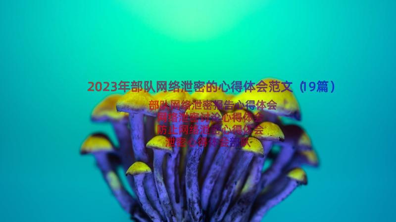 2023年部队网络泄密的心得体会范文（19篇）