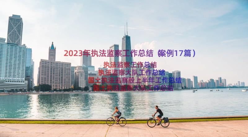 2023年执法监察工作总结（案例17篇）