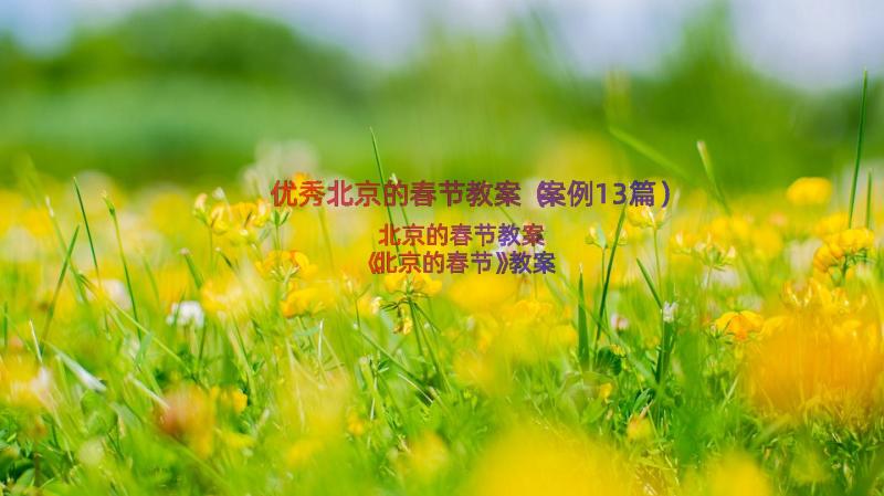 优秀北京的春节教案（案例13篇）