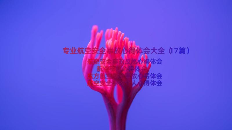 专业航空安全事故心得体会大全（17篇）