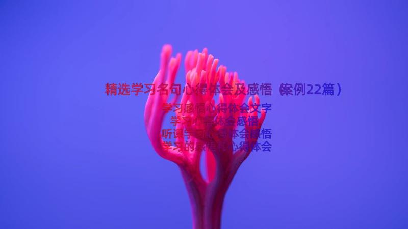 精选学习名句心得体会及感悟（案例22篇）