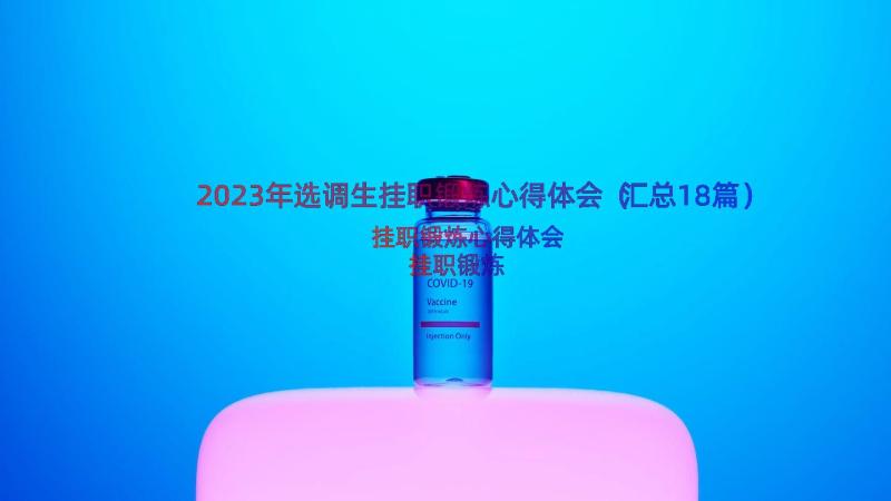 2023年选调生挂职锻炼心得体会（汇总18篇）