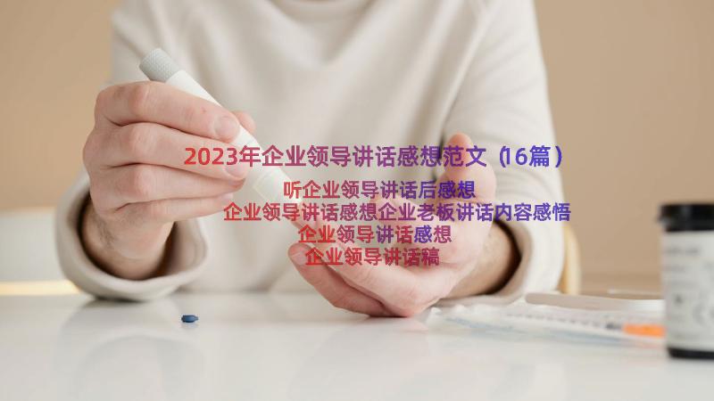 2023年企业领导讲话感想范文（16篇）