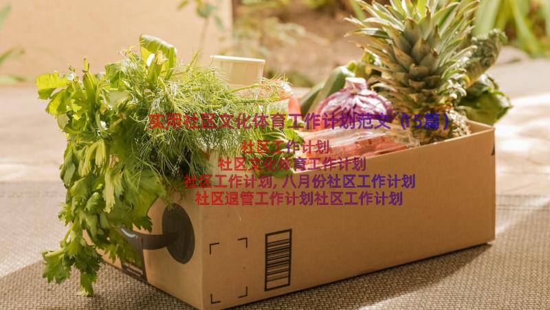 实用社区文化体育工作计划范文（15篇）